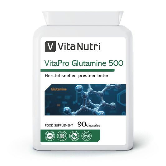 VitaPro Glutamine 500