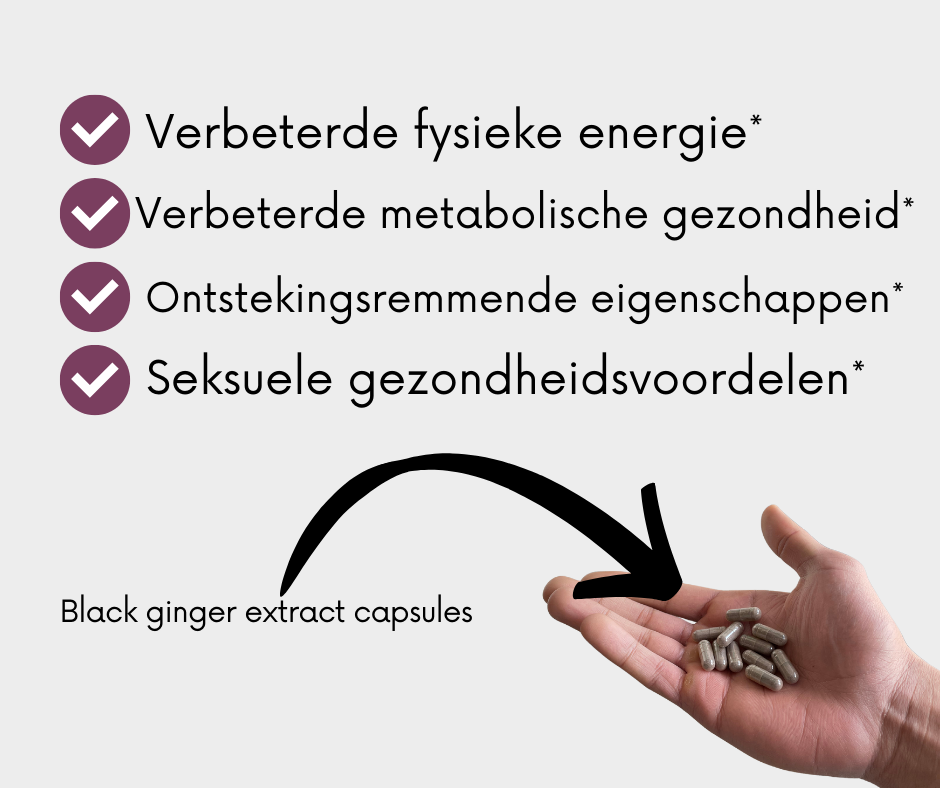 Black Ginger (Zwarte Gember) | 60 Capsules