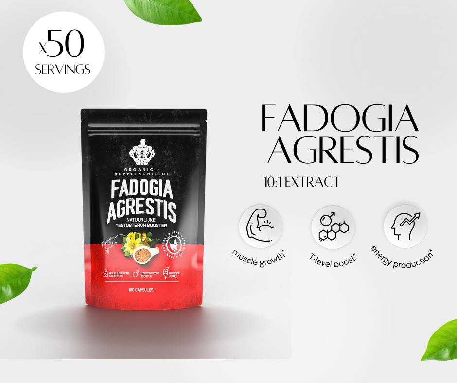 Fadogia Agrestis 10:1 Extract | 100 Capsules